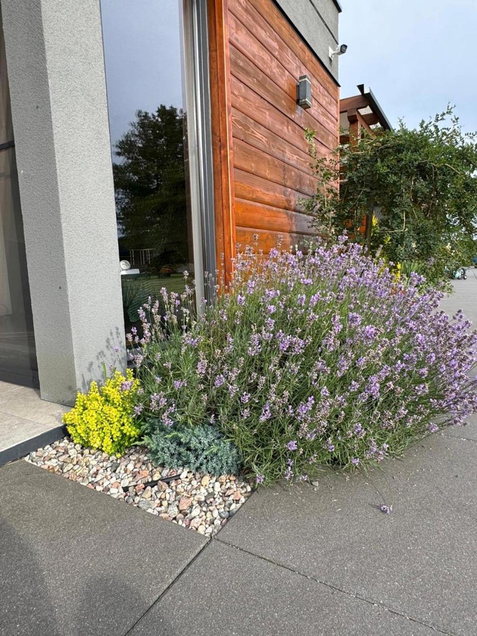 Cisza Bungalows Village / Blisko Natury Nowecin Kültér fotó